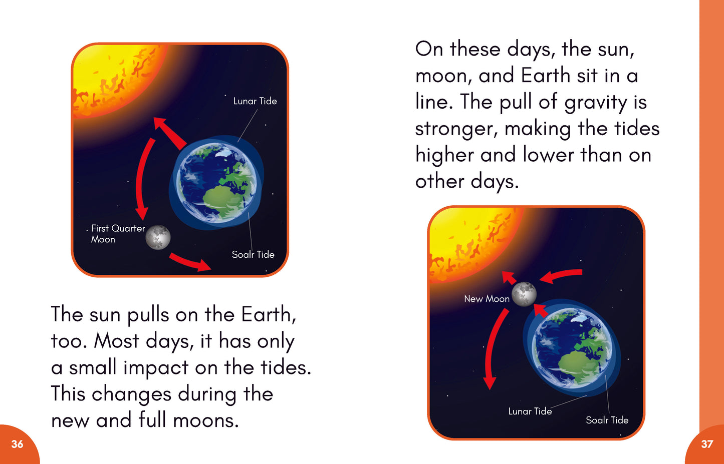 Stage 7: Nonfiction Decodable Science Reader Set (New Product)
