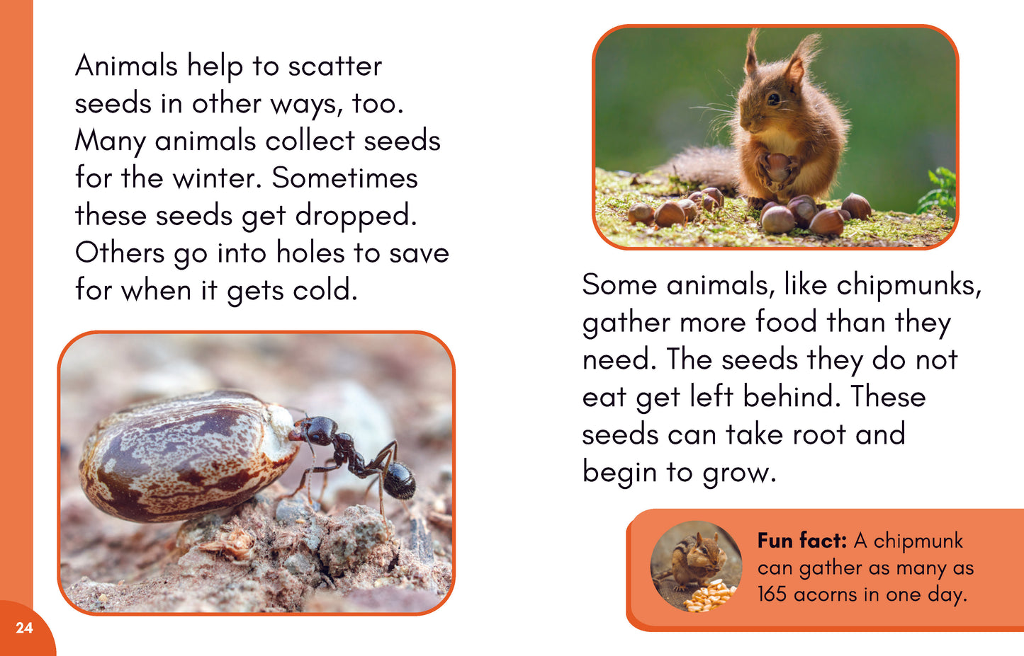 Stage 7: Nonfiction Decodable Science Reader Set (New Product)