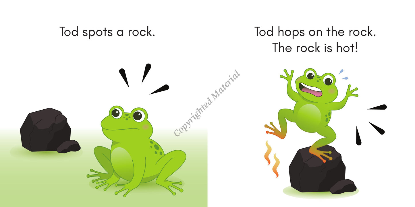 Stage 1: Short Vowel Decodable Reader Set