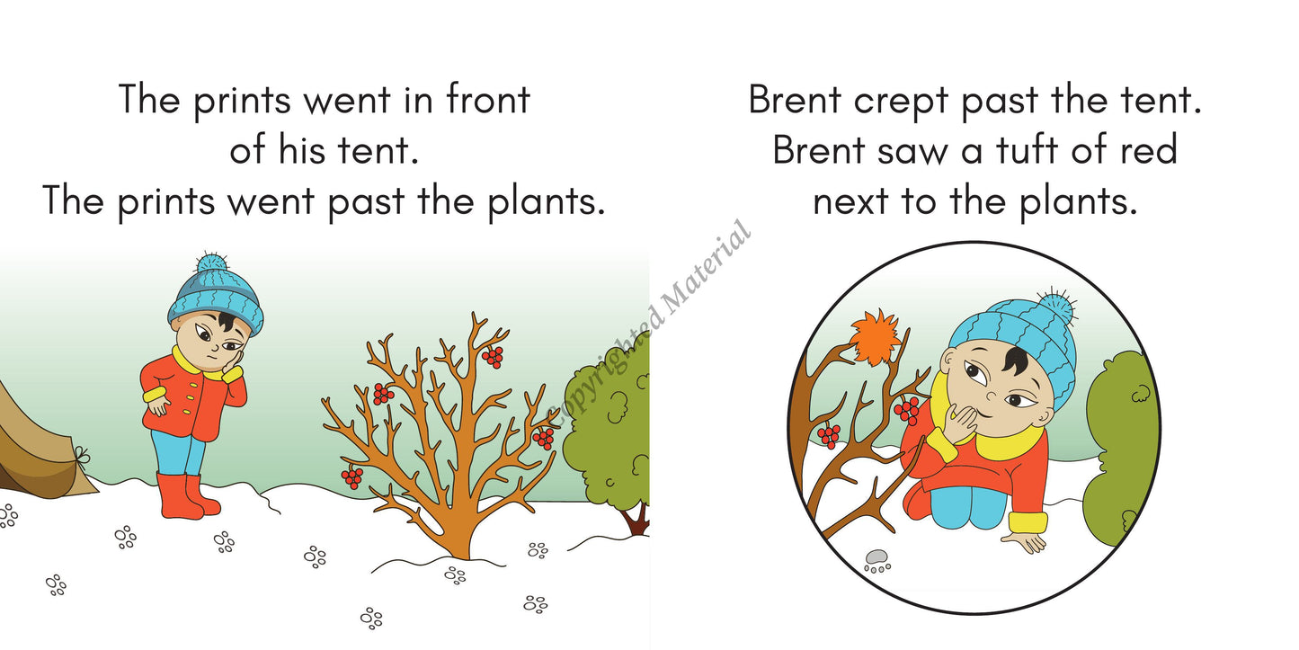 Stage 2: Consonant Blends Decodable Reader Set