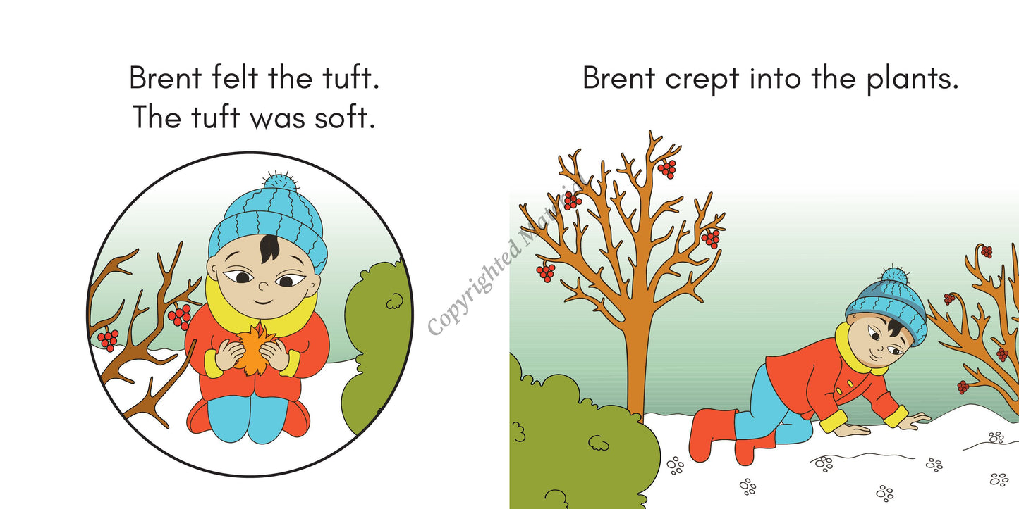 Stage 2: Consonant Blends Decodable Reader Set