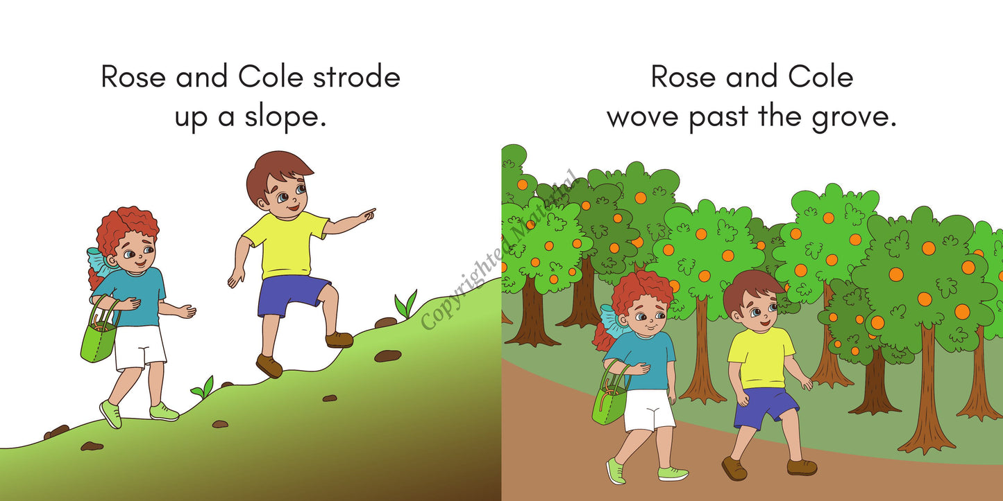 Stage 4: Long Vowel VCE Decodable Reader Set