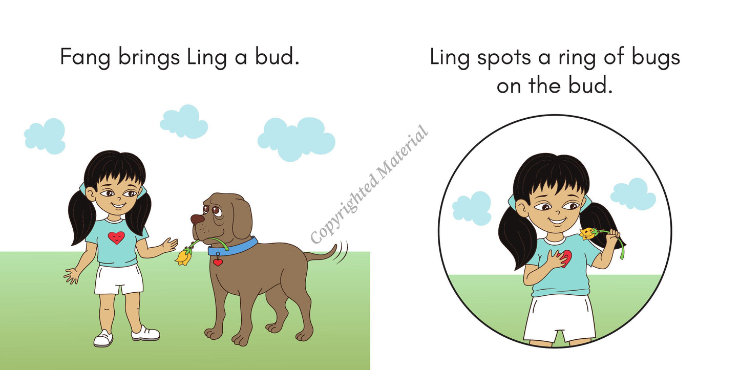 Stage 3: Digraph Decodable Reader Set