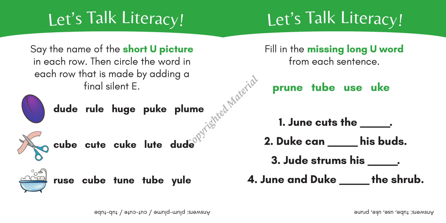 Stage 4: Long Vowel VCE Decodable Reader Set