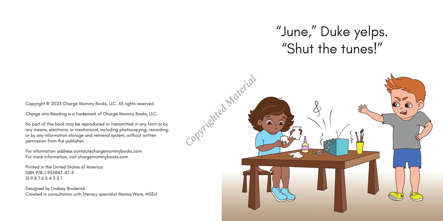 Stage 4: Long Vowel VCE Decodable Reader Set