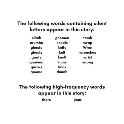 Stage 9: Advanced Spelling Patterns Decodable Reader Set