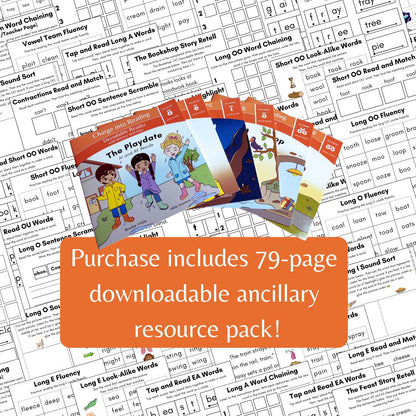 Stage 7: Vowel Teams Decodable Reader Set