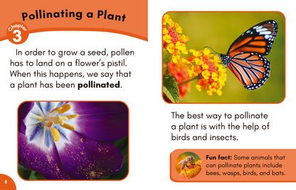 Stage 7: Nonfiction Decodable Science Reader Set