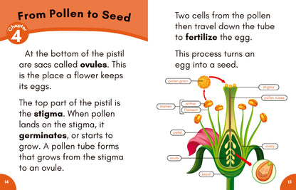 Stage 7: Nonfiction Decodable Science Reader Set
