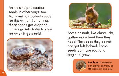 Stage 7: Nonfiction Decodable Science Reader Set