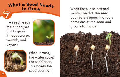 Stage 7: Nonfiction Decodable Science Reader Set