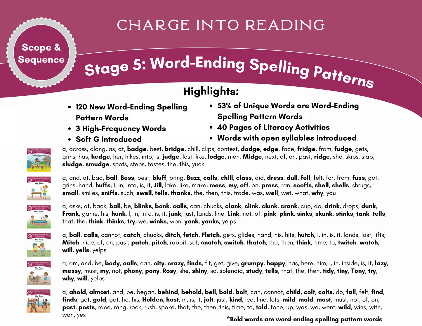 Stage 5: Word-Ending Spelling Patterns Decodable Reader Set