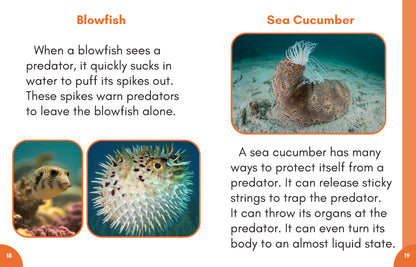 Stage 7: Nonfiction Decodable Science Reader Set