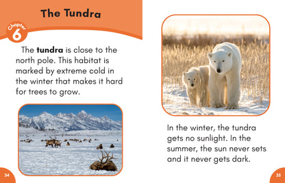 Stage 7: Nonfiction Decodable Science Reader Set