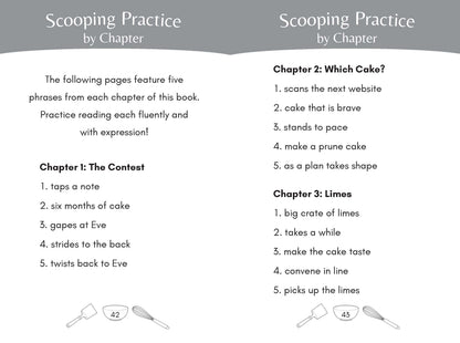 Time to Bake: Long Vowel VCE Decodable Chapter Book