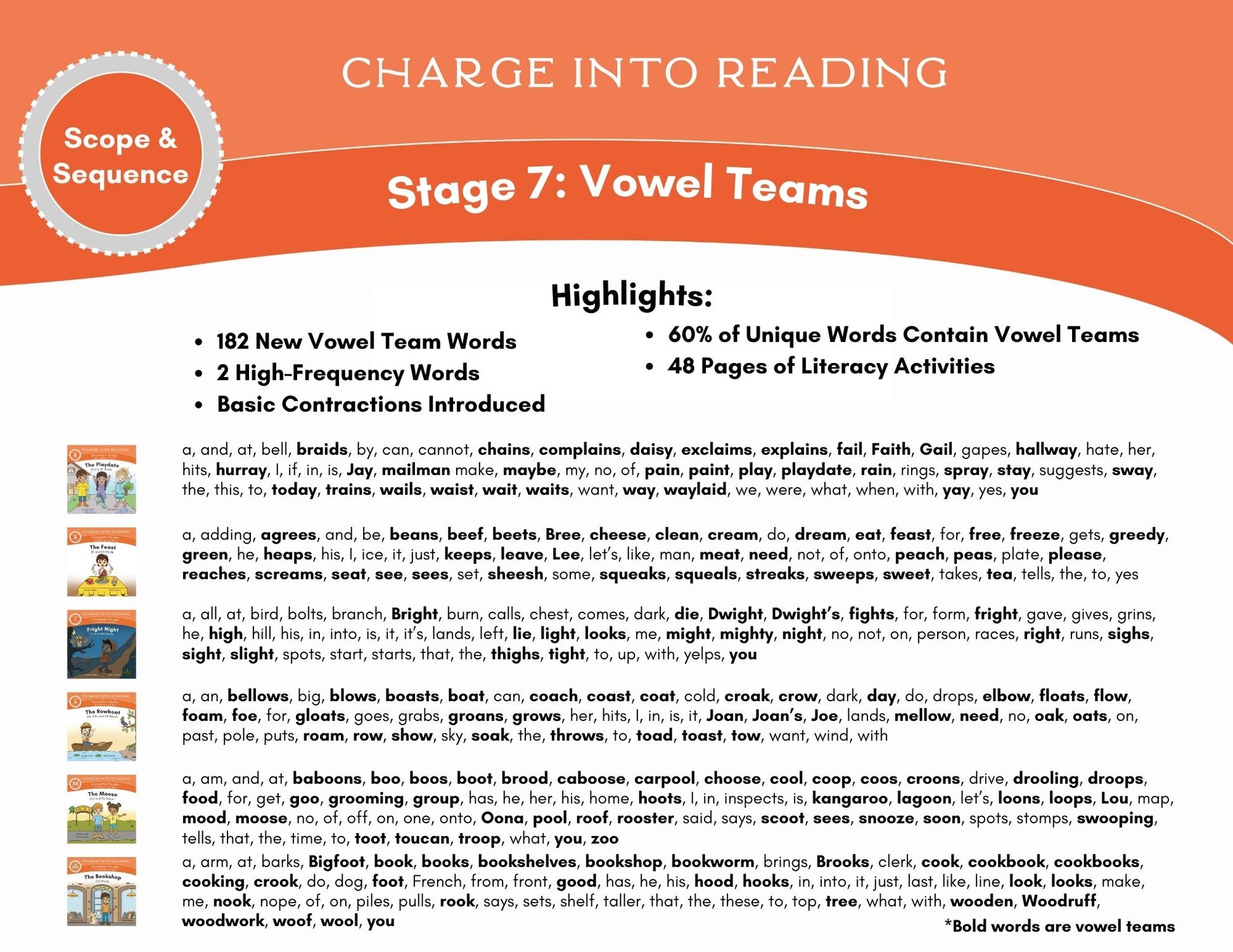 Stage 7: Vowel Teams Decodable Reader Set – Charge Mommy Books