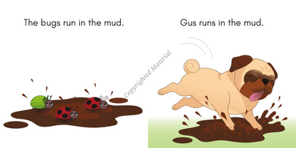 Stage 1: Short Vowel Decodable Reader Set